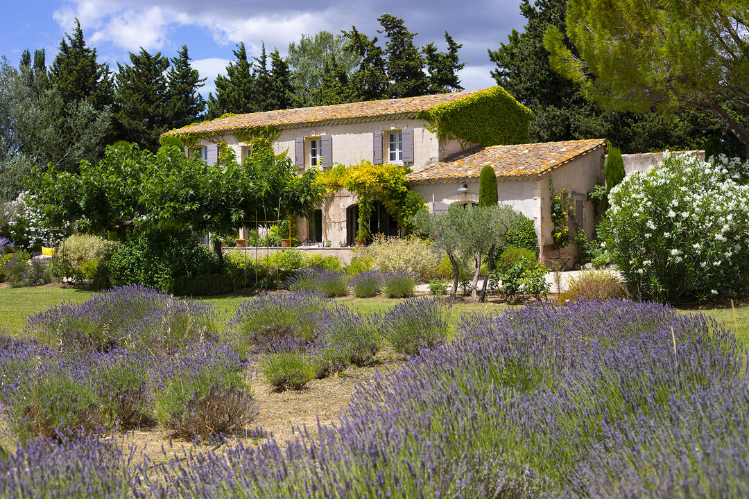 Provence Holidays - Luxury Villas & Holiday Rentals in Provence